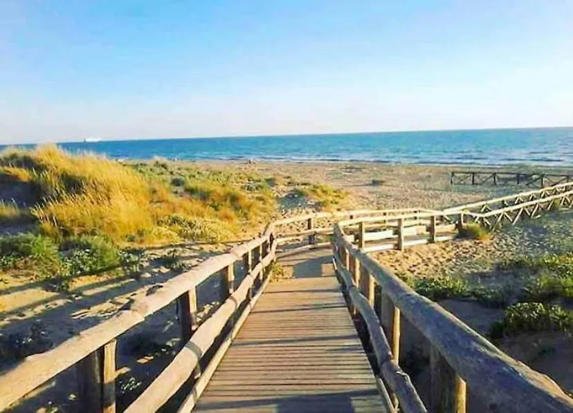 Regina Elena, Luminoso Appartamento Sulla Spiaggia Calambrone Italy